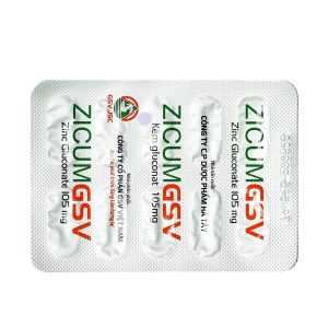 zicum gsv 3